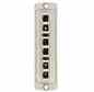 Leviton 5F100-6IC Adapter Plate Turkey