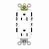 Leviton 16242-W 15 Amp Duplex Receptacle Turkey