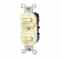 Leviton 5241-I Combination Switch Turkey
