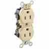 Leviton 5252-I Duplex Receptacle Turkey