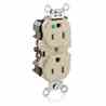Leviton 8200-I Hospital Grade Duplex Receptacle Turkey
