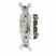 Leviton 5501-8I 1 Turkey