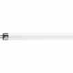 Philips Lighting F13T5 / CW PH F13T5/CW PH Fluorescent Lamp Turkey