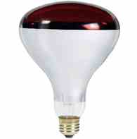 Philips Lighting 250R40 / HR 4 / 1 250R40/HR 4/1 Incandescent Heat Lamp Turkey