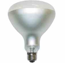 Philips Lighting 500R / 3FL / 2S 500R/3FL/2S 500 Watt R40 Reflector Flood Turkey