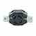 Leviton 3430 #2cd/lkg Recpt Turkey
