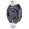 Leviton 3330 #2cd/_lkg Recpt Turkey