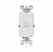Leviton GFRBF-I Blank GFCI Turkey