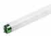 Philips Lighting F17T8 / TL735 F17T8/TL735 368084 F17t8/tl735/alto 25pk Turkey