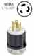 Leviton 2661 Locking Plug Turkey