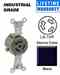 Leviton 4560 Locking Single Receptacle Turkey