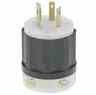 Leviton 2351 Locking Plug Turkey