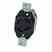 Leviton 7410-BG #2cd_lkg Recpt Turkey