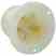Leviton 2345 #2cd/flanged Inlet Turkey