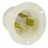Leviton 2645 30 Amp Turkey