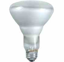 Philips Lighting 65BR30 / FL55 65BR30/FL55 65 Watt BR30 Reflector Flood Lamp Turkey