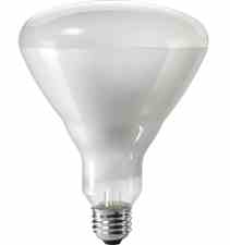 Philips Lighting 65BR / FL60 65BR/FL60 65 Watt BR40 Reflector Flood Lamp Turkey