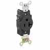 Leviton 5361-E 20 Amp Single Receptacle Turkey