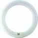 Philips Lighting FC8T9 / WX / HL FC8T9/WX/HL Fluorescent Turkey