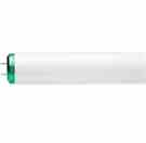 Philips Lighting F34WW / RS / EW / ALTO F34WW/RS/EW/ALTO 34 Watt T12 Rapid Start Fluorescent Turkey
