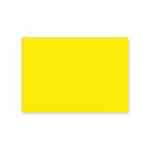 Brady 25374 Blank Yellow Turkey