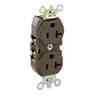Leviton 5362-S Duplex Receptacle Turkey