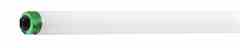 Philips Lighting F60T8 / TL841 / F60T8/TL841/ 411686 F60t8/tl841/ho/alto 25pk Turkey