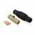 Leviton 17D24-E 17dss Turkey