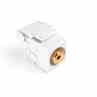 Leviton 40735-RRA Conn Rca 110 Rt Red Alm Turkey