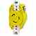Leviton 24CM-10 Corr Rest Yl Turkey