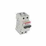 Abb S202-D0.5 ABB  Mcb 2p D 05a 480y/277 Supp Turkey