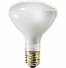 Philips Lighting 500R / 3FL 500R/3FL 500 Watt R40 Reflector Flood Turkey