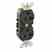 Leviton 5362-SE Slim Duplex Receptacle Turkey