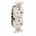 Leviton 5362-ST Duplex Receptacle Turkey