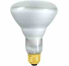 Philips Lighting 65BR40 / FL 12 / 1 PRO 65BR40/FL 12/1 PRO Incandescent Reflector Lamp Turkey
