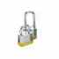 Brady 105896 Lock Steel Turkey