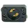 Leviton 380 Starter Base Pkd