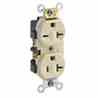 Leviton 5842-I 20 Amp Dual Voltage Duplex Receptacle