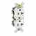 Leviton 5352-R Narrow Duplex Receptacle Turkey