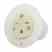 Leviton 15679-C 15 Amp