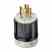 Leviton 2611-PLC Ind Pilot Lght Plug Turkey