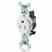 Leviton T5015 Tamper Resist Sngle Rcpt 15A