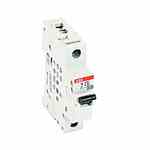 Abb S201-C63 ABB  Mcb 1p C 63a 480y/277 Supp
