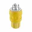 Leviton 28W09 Wetguard Plug