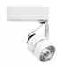 Juno Lighting R701BL Track Head