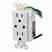 Leviton 6280-W Has Been Discontinued With No Replacement Turkiye