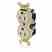 Leviton 5262-1PI Controlled TR Duplex Receptacle Turkiye