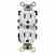 Leviton 5321-W 15 Amp Turkiye
