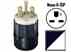 Leviton 5666-C 15 Amp Plug Turkiye
