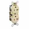 Leviton CR020-I 20 Amp Duplex Receptacle Turkiye